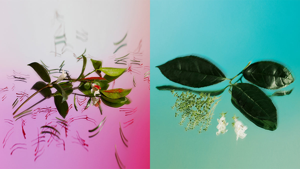 Ingredients up close Love Affair and White Tea & Thyme AromaTech