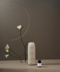 Oprah’s Favorite Things 2024 Home Scenting Gift Set