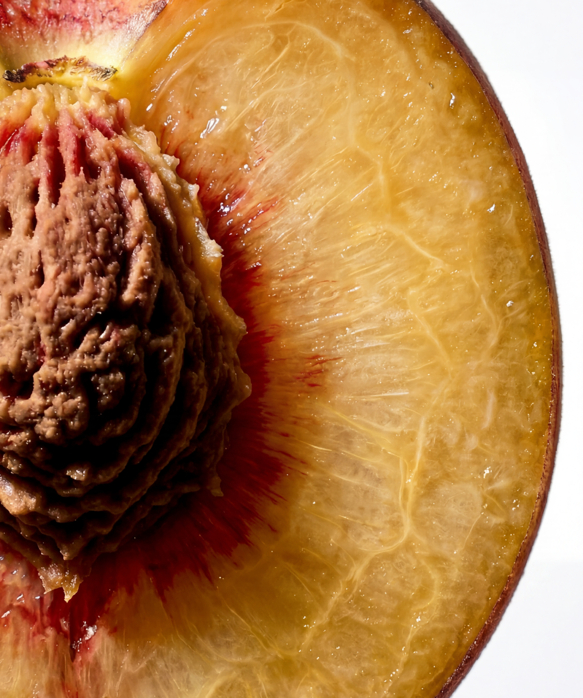 Close up image of the Peach