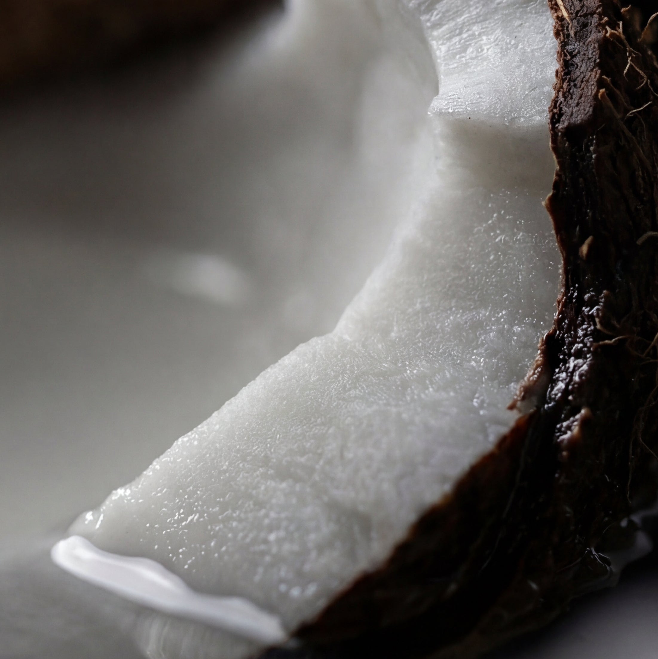 Close up of a split open coconut, with coconut milk dripping 