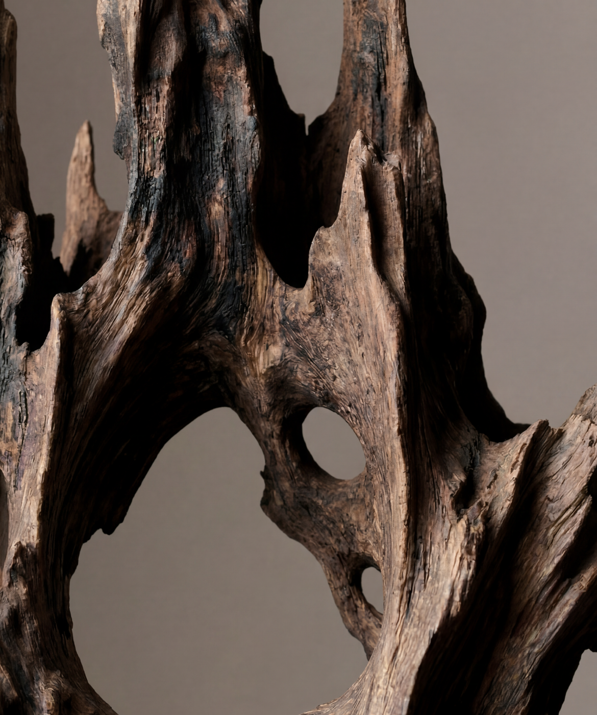 Close up image of the Oud
