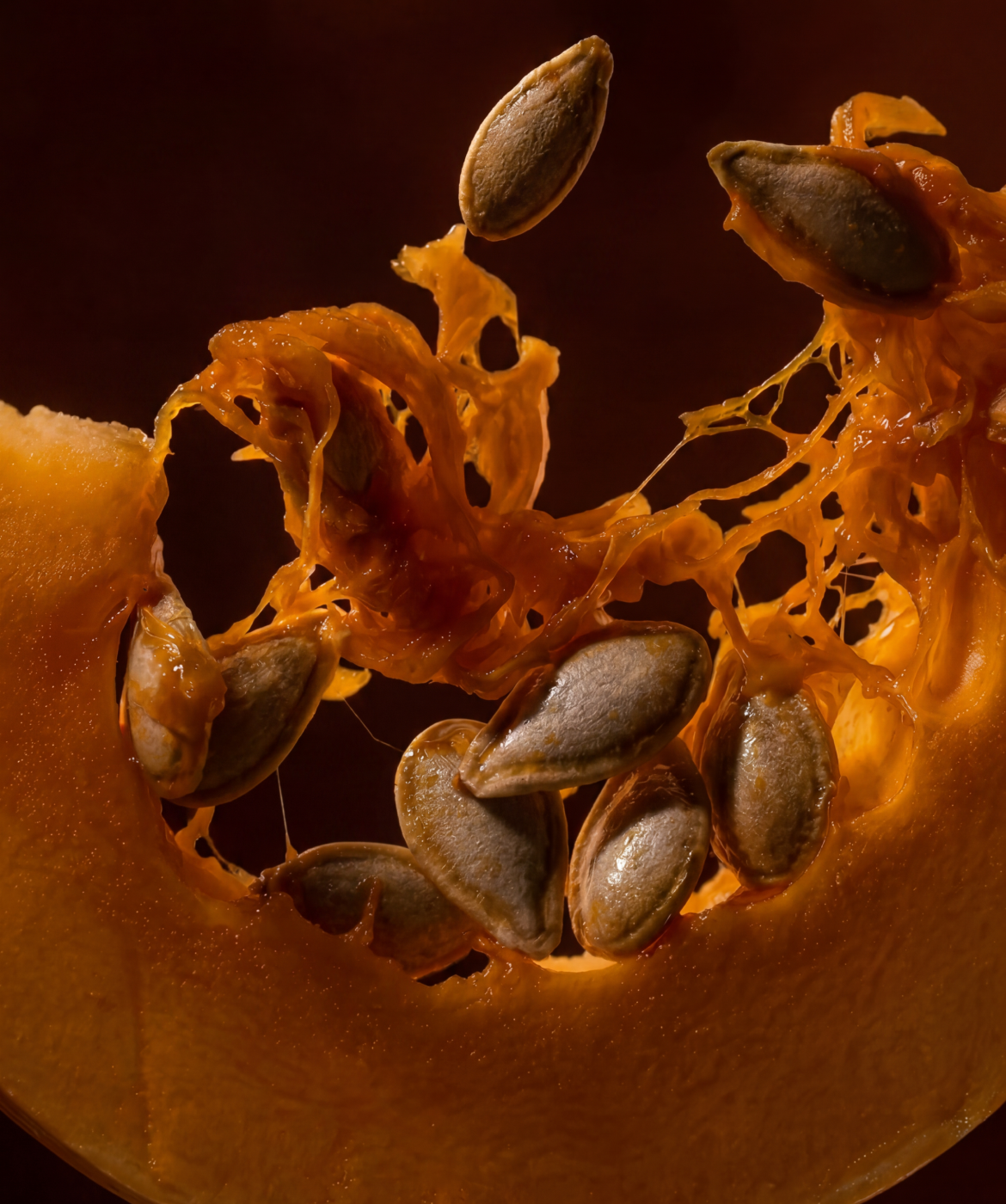 Close up image of the Pumpkin