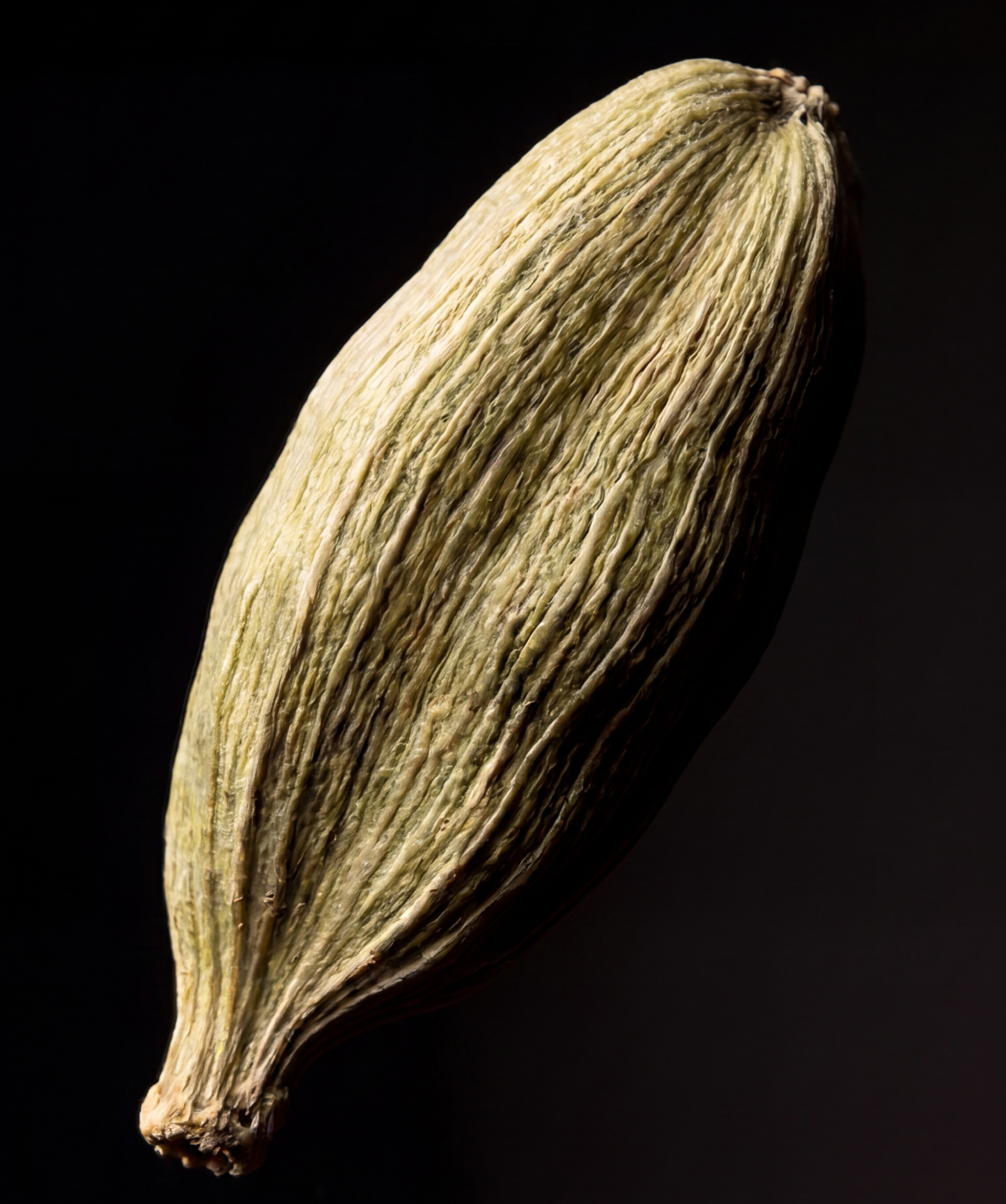Close up image of the