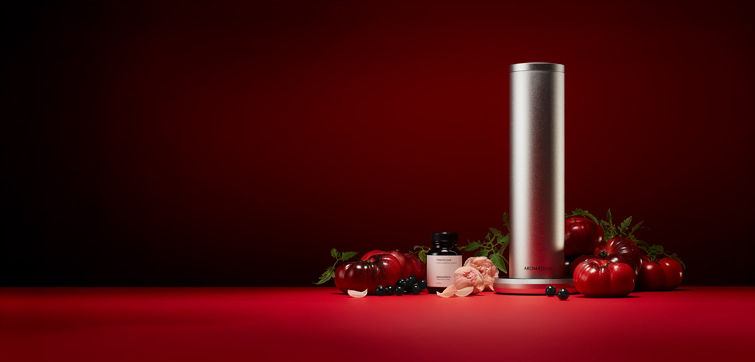 芳香器・アロマポット・アロマストーン 2671.NEIGHBORHOOD NUMBER ONE/OILDIFFUSER Stone diffuser 'Tokoname' | At-Aroma USA